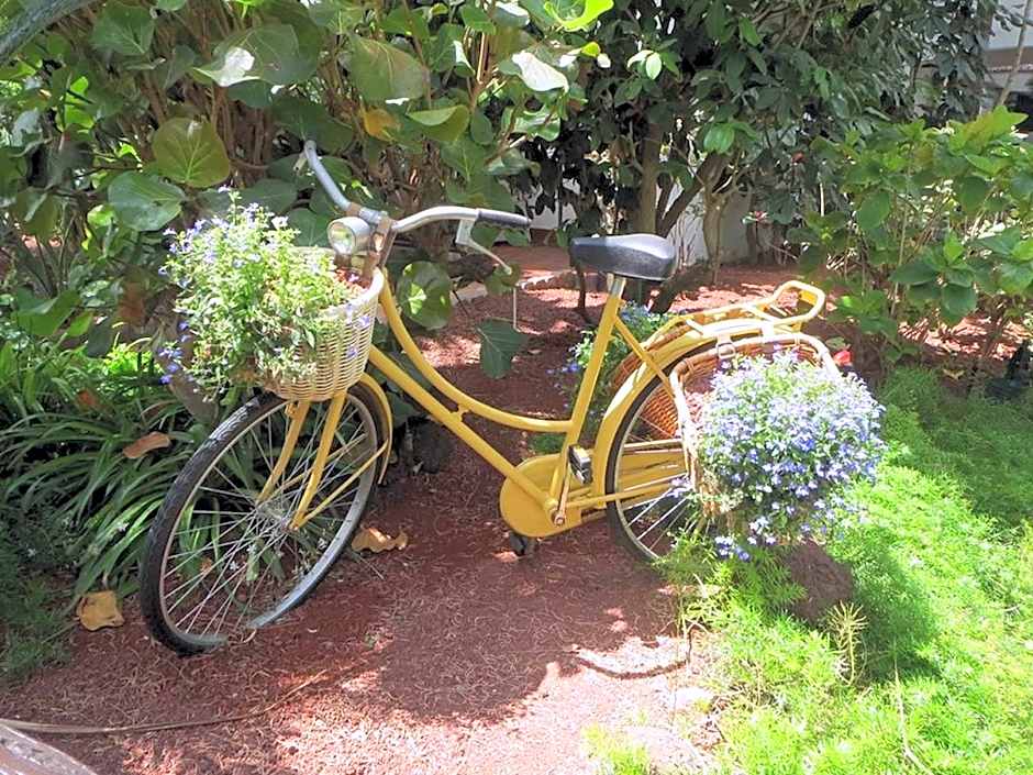 Hotel Parque Tropical