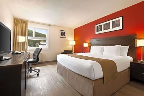 1 King Bed Non-Smoking