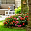 Villa Elisio Hotel & Spa
