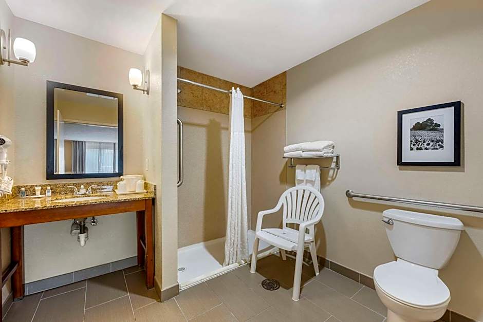Comfort Suites East Lincoln - Mall Area