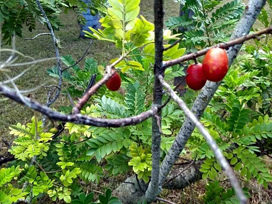 Rancho Rio Dourado, um paraíso!