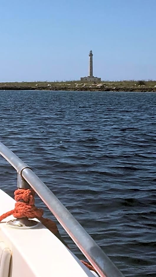 Bebarcobalenogallipoli