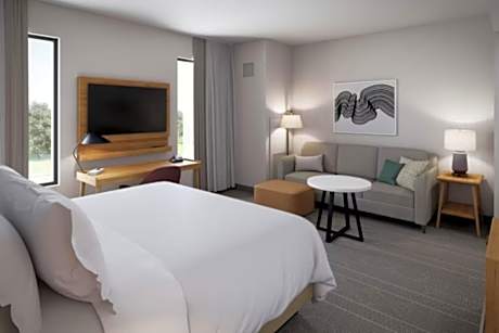 1 King One Bedroom Suite