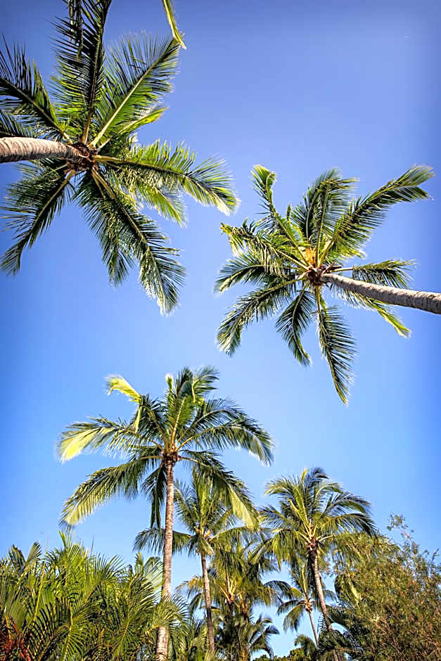 Bush Village Holiday Cabins