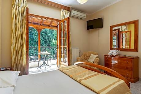 Double or Twin Room with Meteora View