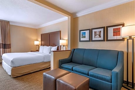 1 King Bed Suite Nonsmoking