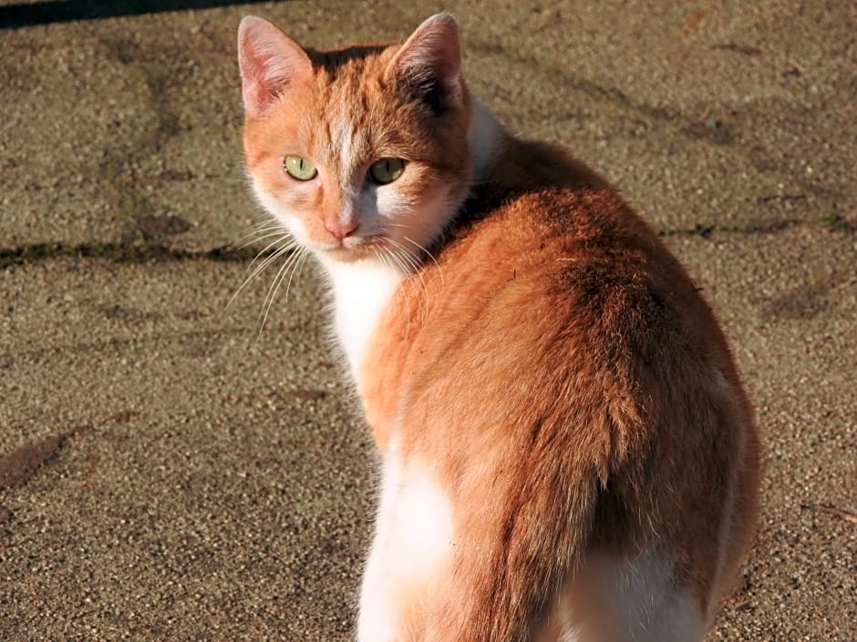 Domaine de Laverchère