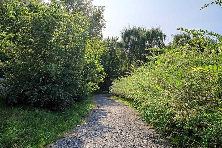 Maison ancestrale complètement rénovée 4 chambres