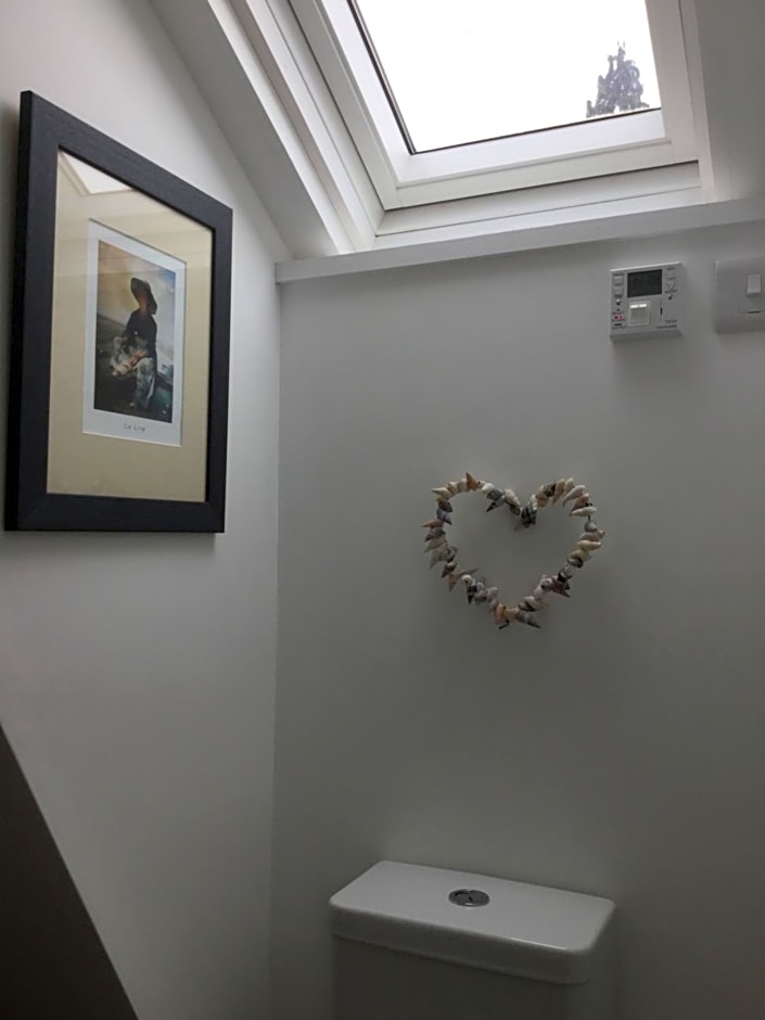 Dwynant - A Room with a View