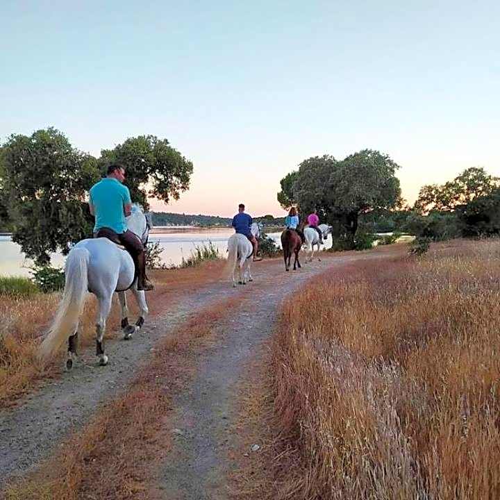 Quinta da Saudade