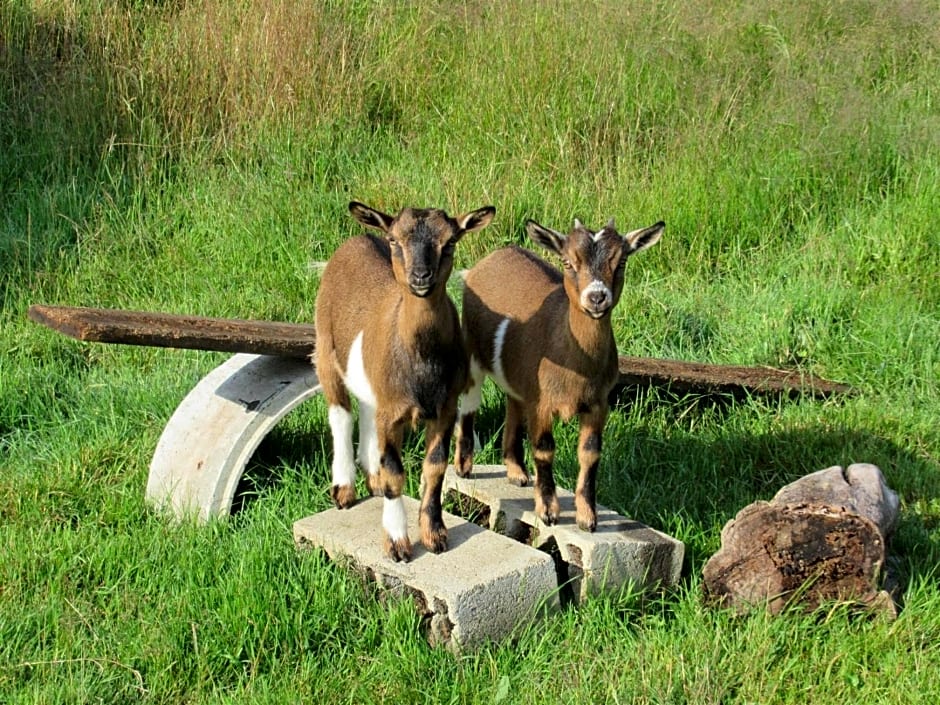L'Oisiveraie - Ecolieu dans le bocage normand