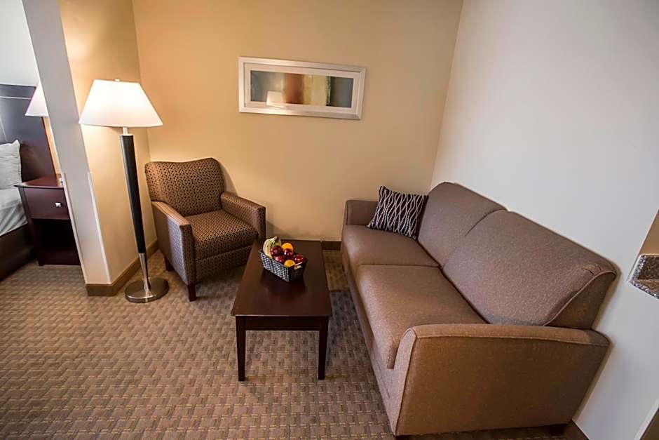 Comfort Suites University Area