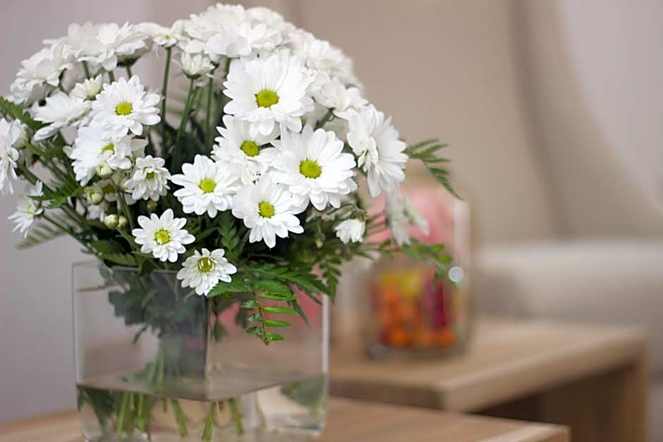 S'Hotelet d'es Born - Suites & SPA