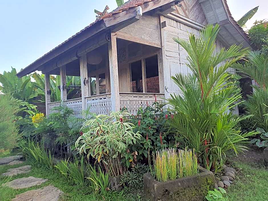 AgaLiving Medewi