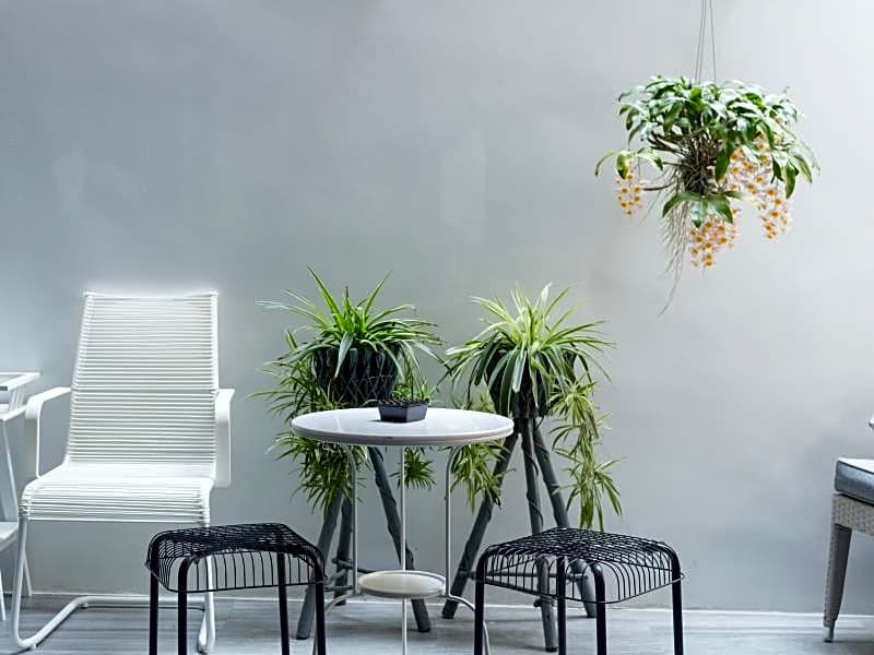 White Ivory Bed and Breakfast