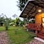 Chiang Dao Reset