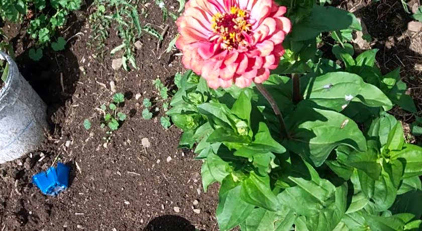 B&B Chambre Chante Cristal