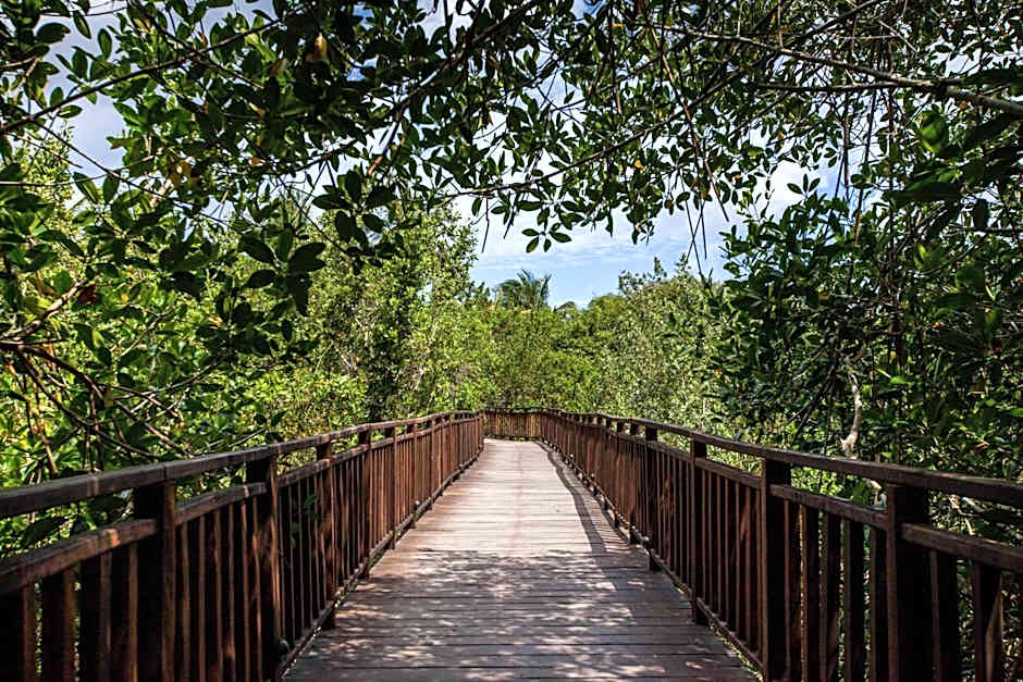 Occidental Cozumel - All Inclusive Resort