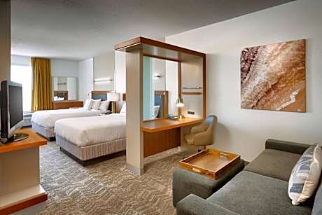 Queen Studio with Sofa Bed and Roll-in Shower - Mobility and Hearing Accessible