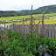 Ellerton Lodge Bed and Breakfast Swaledale