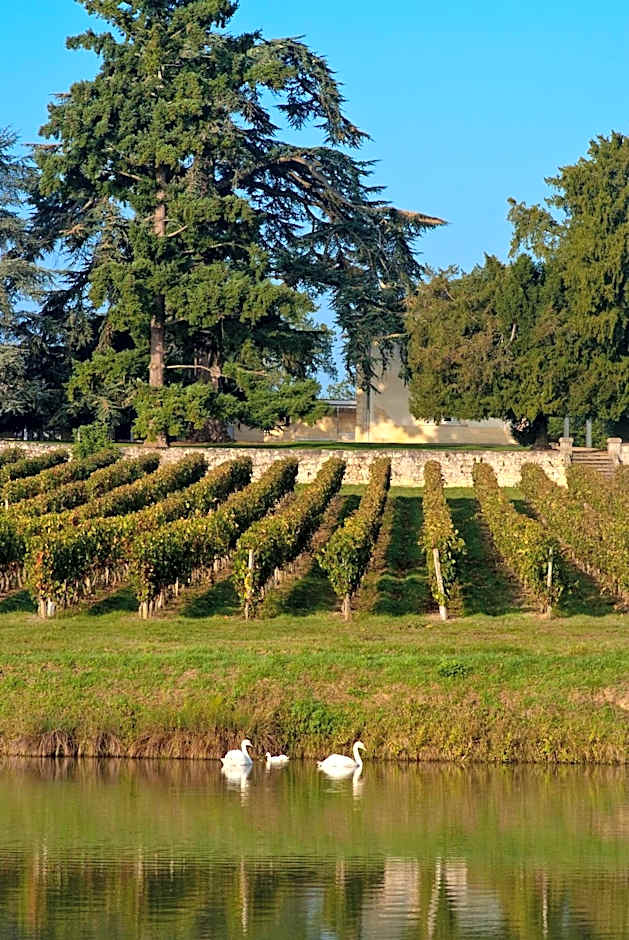 Les Secrets Château Pey La Tour