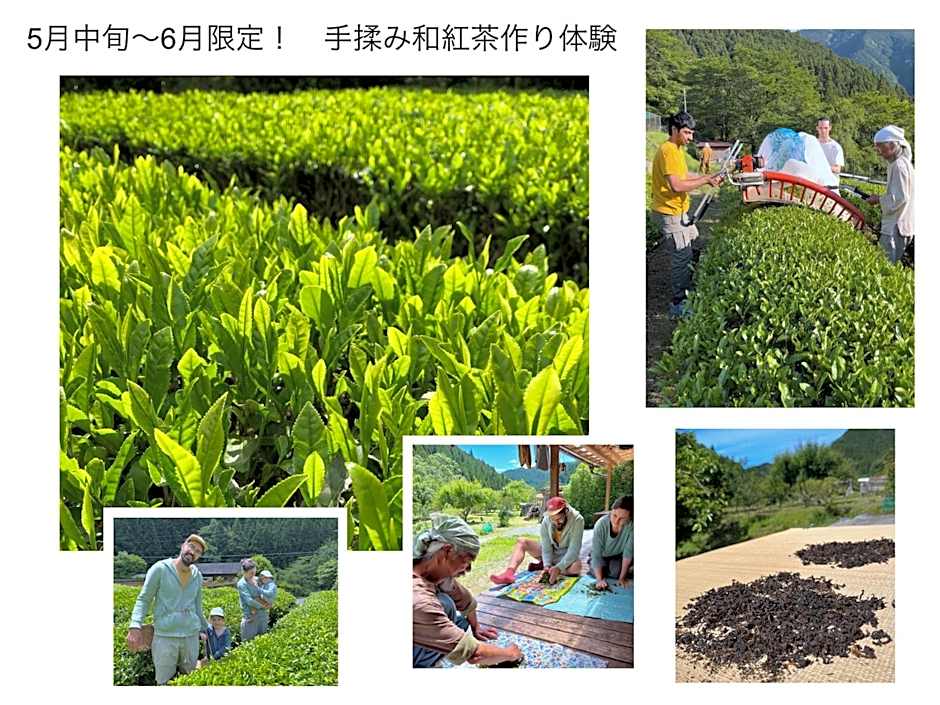 リラシャンティRelashanti