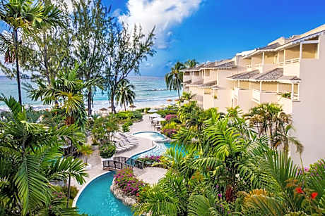 Bougainvillea Barbados