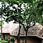Poetree, Thekkady