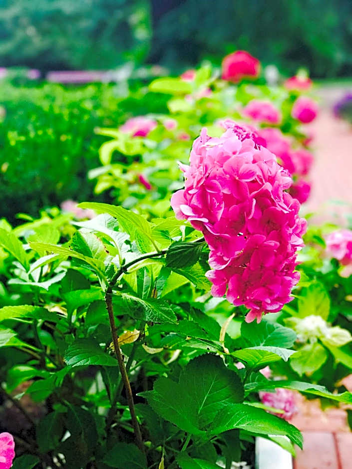 Rezydencja Willa Park & Restauracja