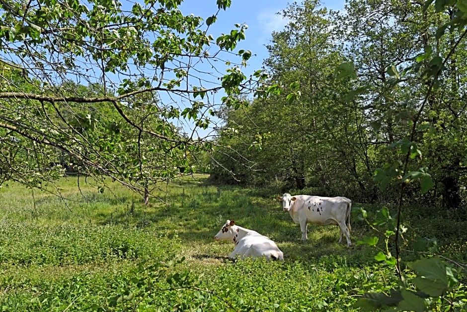 Bleeke Hoeve B&B Hotel