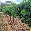 Boutique Finca esencial Hotel Rural