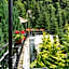 Piscul Negru Hotel - Transfagarasan