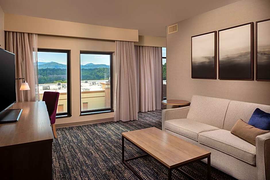Hilton Asheville Biltmore Park