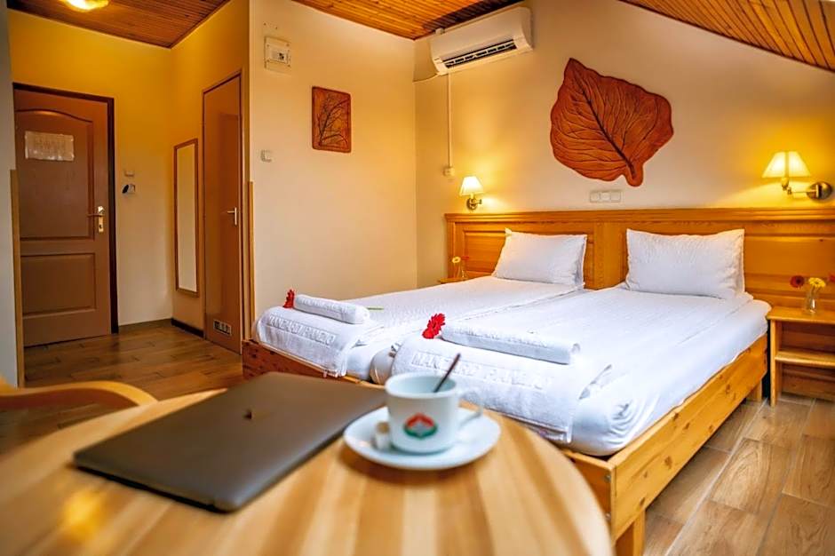 Hotel Manzard Panzio