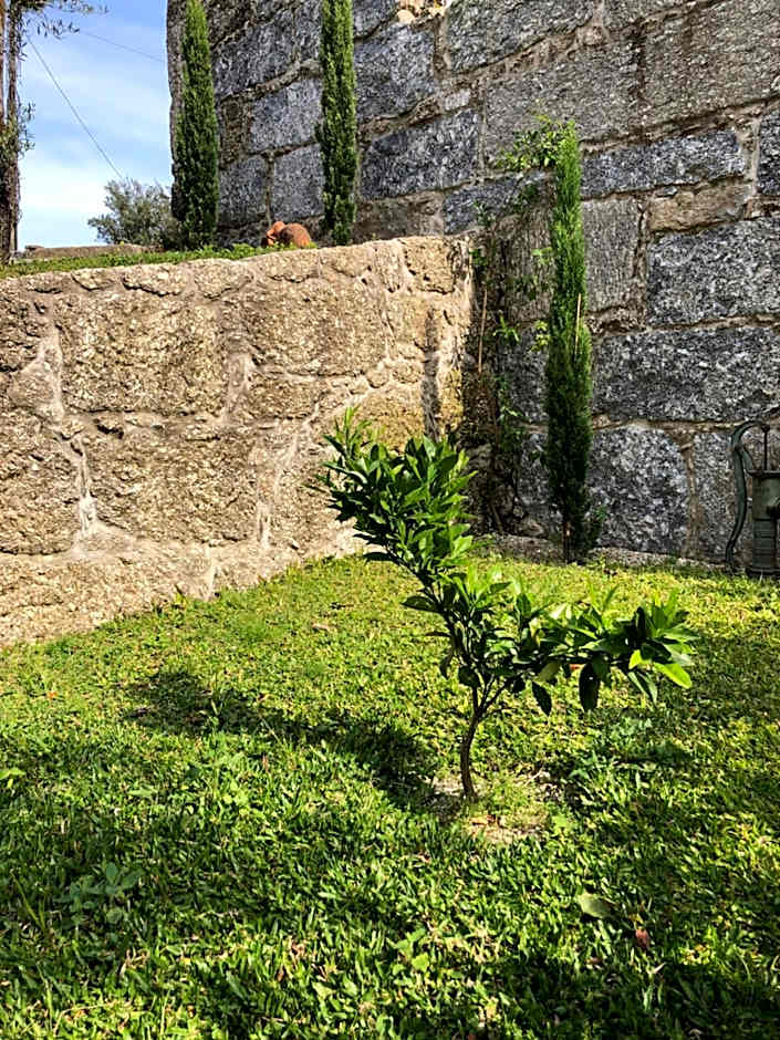 Sobreiro Valley - Casa Isabel