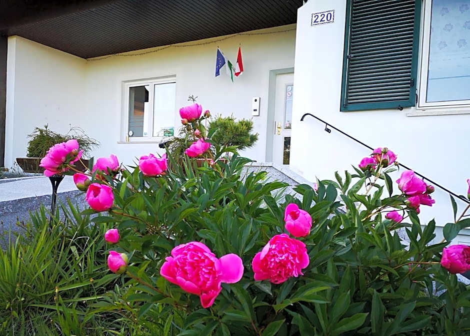 Aparthotel "Goldener Hahn Apartments"