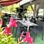 Logis Hotel Noemys Brive - Restaurant Le Teinchurier