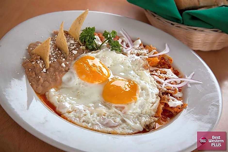 Best Western Plus Gran Hotel Centro Historico