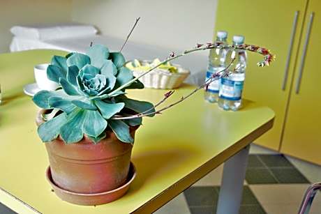 Economy Quadruple Room with Shared Bathroom