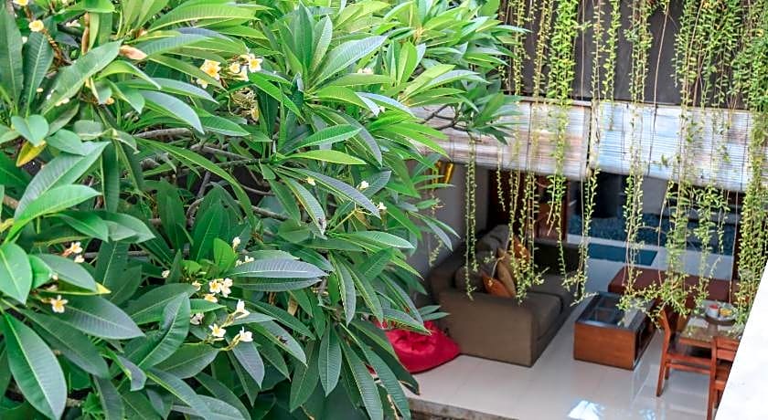 Alia Home