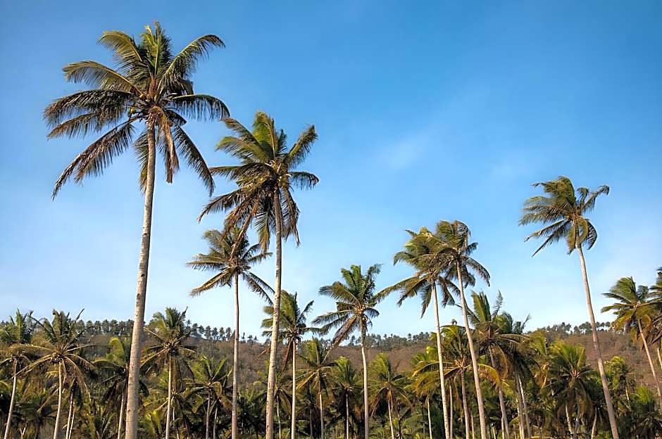 Central Inn Senggigi