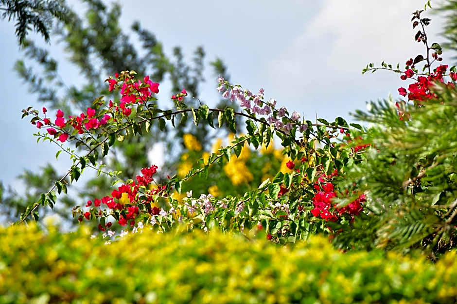 Tanzanice Farm Lodge