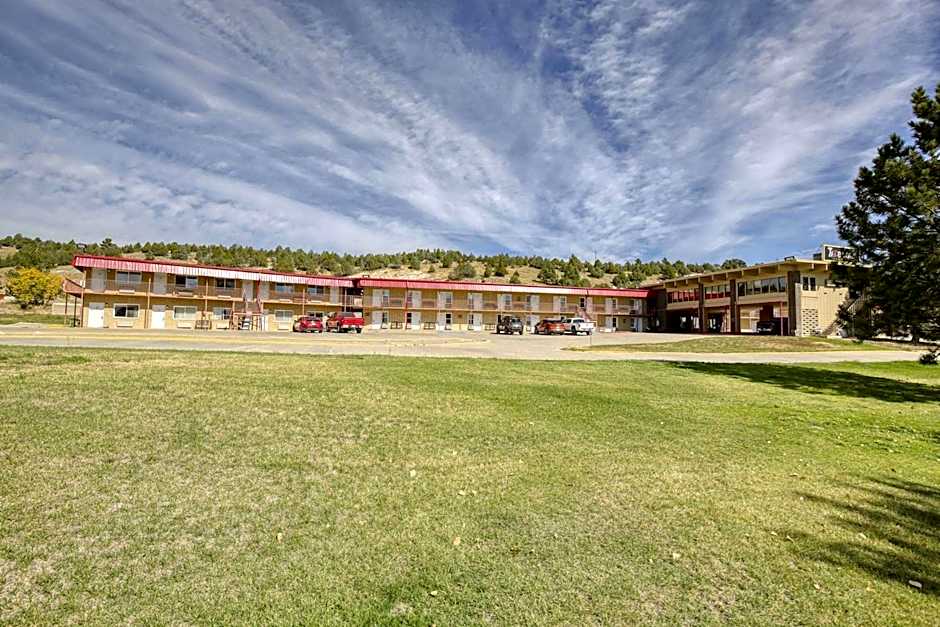 Super 8 by Wyndham Newcastle