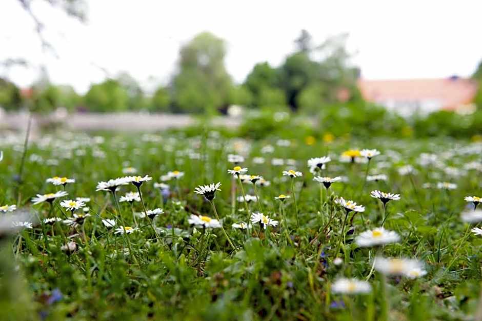 Landhaus Zu Den Rothen Forellen Hotel