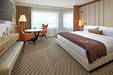 1 King Deluxe Hearing Accessible