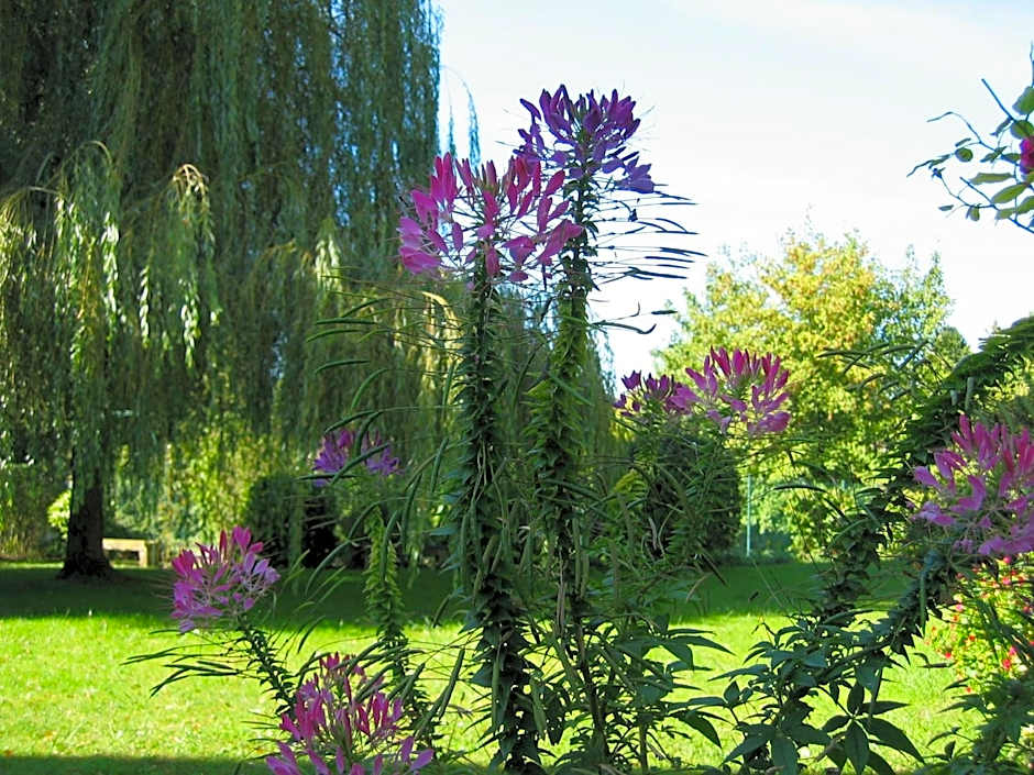 Hôtel Relais d'Aumale