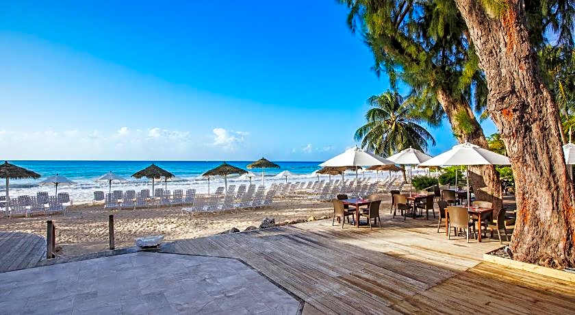 Bougainvillea Barbados