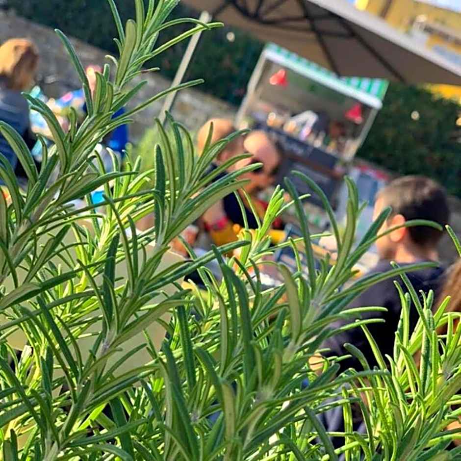 Best Western Hotel Anthurium