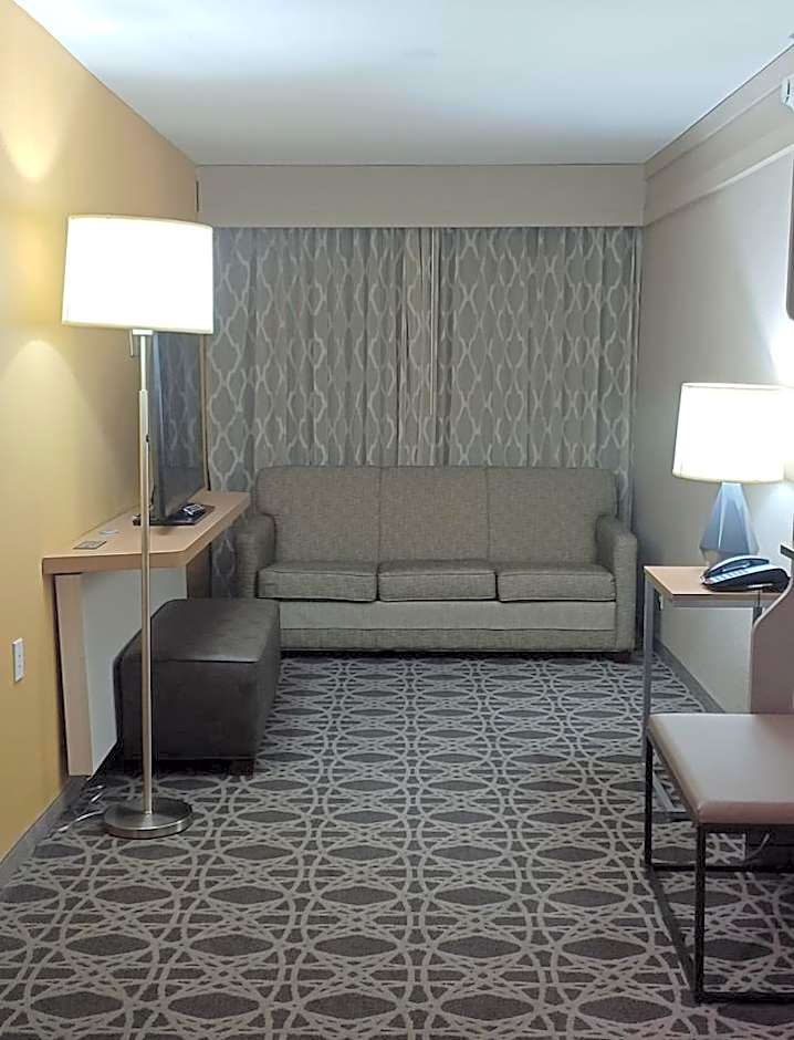 Holiday Inn McAllen Medical Center Area By IHG