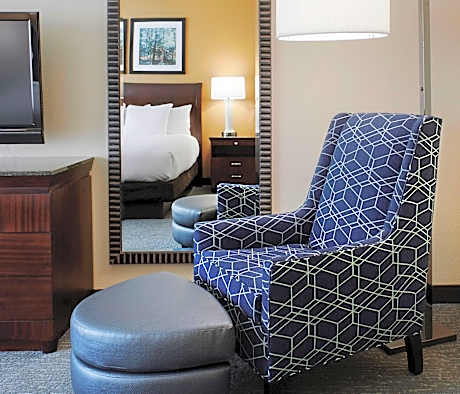 Deluxe King Suite with Sofa Bed